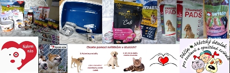Městský útulek pro toulavá a opuštěná zvířata Děčín